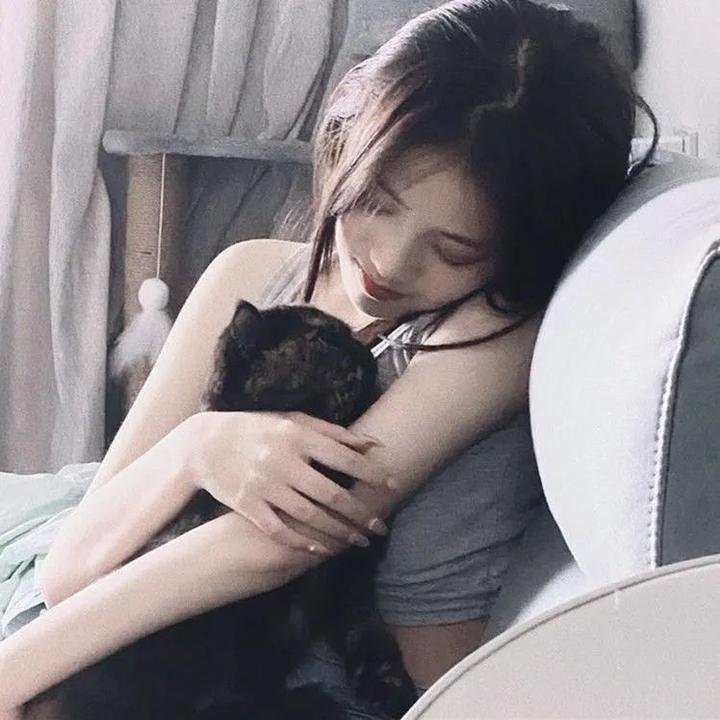 法网追凶第三季